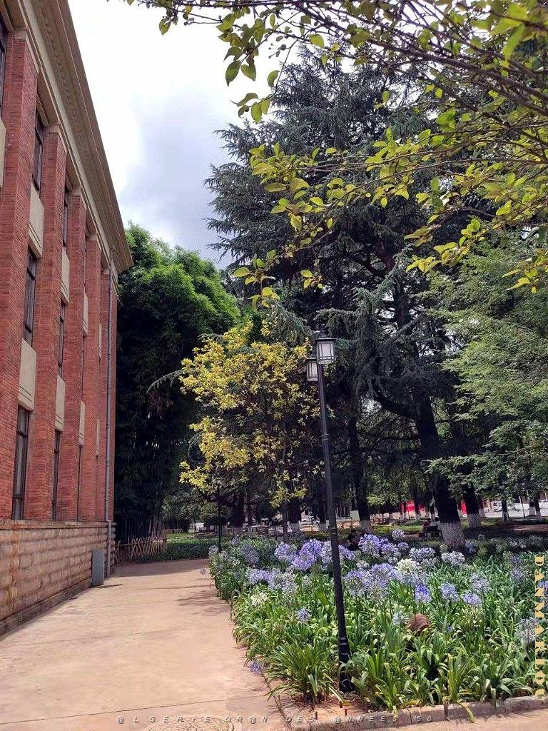 Kunming - Universite du Yunnan (52).jpg